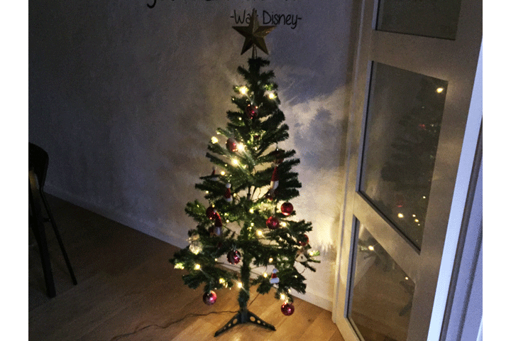 NORDIC PUBLISHER GROUP ApS, Forlæng den søde julestemning år efter år med et plastik juletræ Billede af NORDIC PUBLISHER GROUP ApS, Forlæng den søde julestemning år efter år med et plastik juletræ