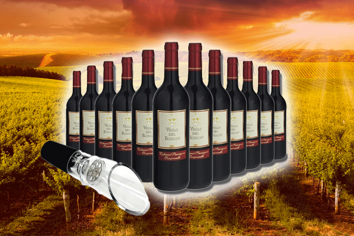Få 12 flasker af den velsmagende, spanske Vegas Del Bodión rødvin samt en vinhælder 1 