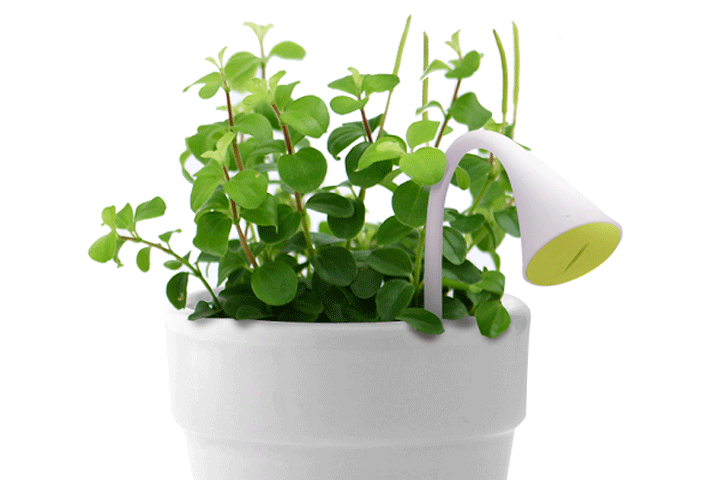 Hold liv i dine planter med en smart vandingsalarm 2 