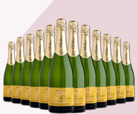 6 eller 12 flasker frisk og frugtig Cava Extremadura Premium3 