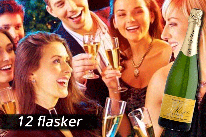 6 eller 12 flasker frisk og frugtig Cava Extremadura Premium2 