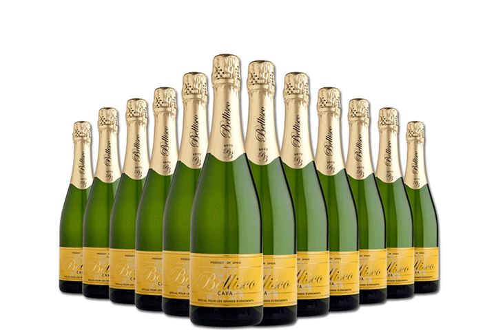 12 flasker frisk og frugtig Cava Extremadura Premium4 