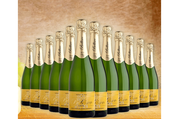 12 flasker frisk og frugtig Cava Extremadura Premium2 