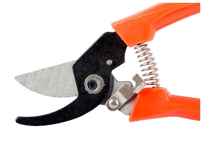 Gør havearbejdet nemt med stilfulde orange havesakse3 