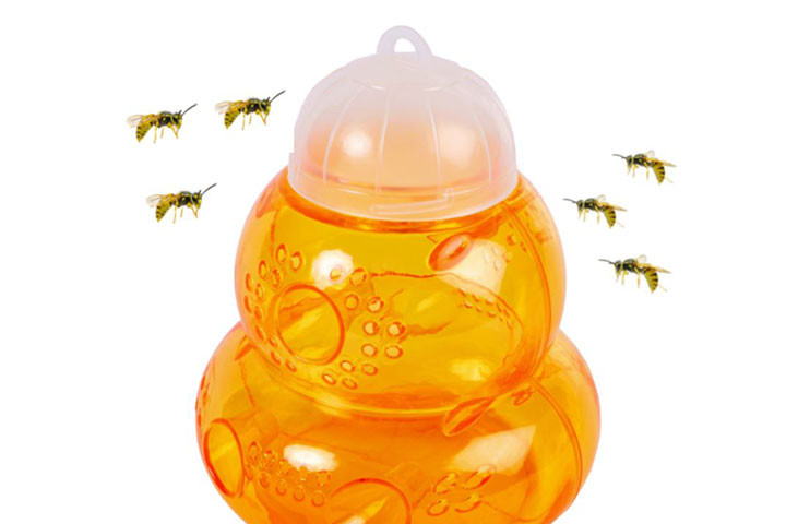 Hvepsefælden virker ved at tiltrække hveps, som ikke kan flyve ud af fælden igen3 