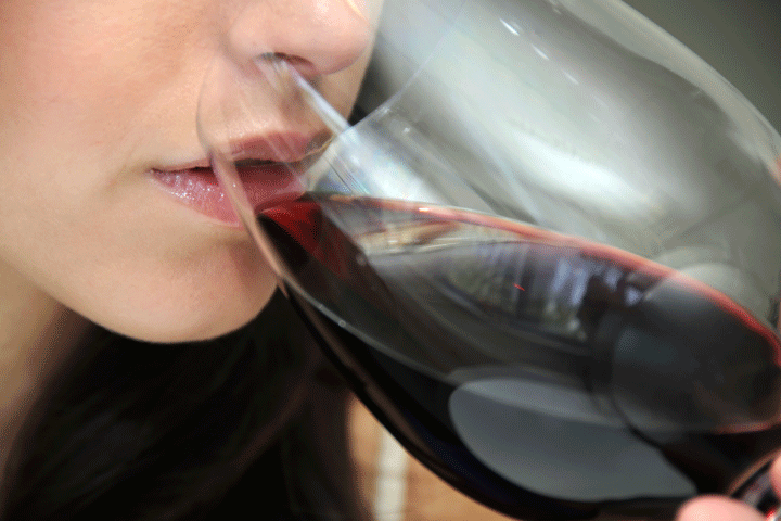 12 flasker skøn spansk Merlot & Pinot Noir rødvin2 