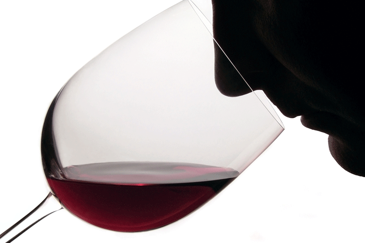 12 flasker skøn spansk Merlot & Pinot Noir rødvin3 