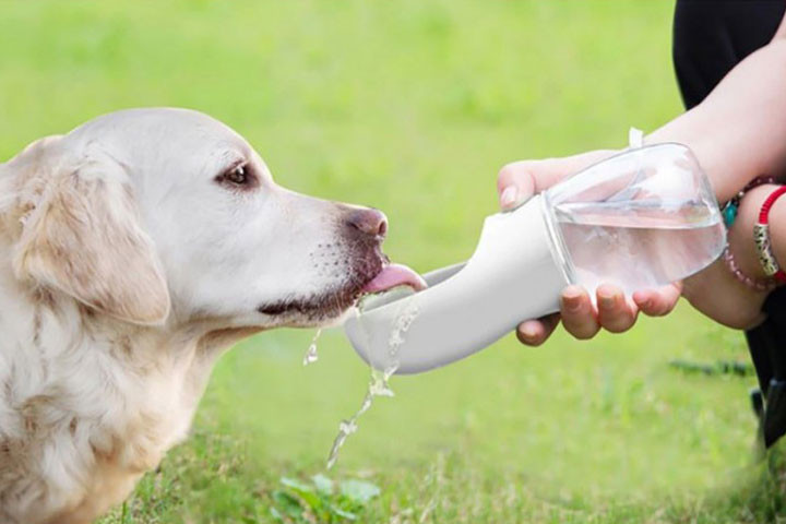 Praktisk vandflaske med skål til hunden1 