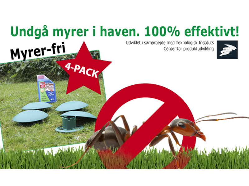 Myldrer det med myrer?  - Effektiv langtidsbekæmpelse med myrefælder og granulat2 