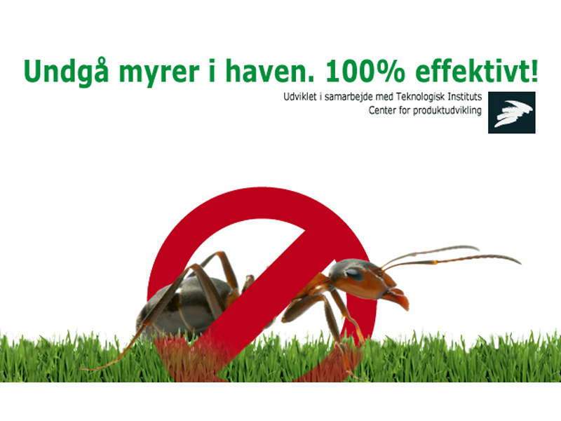 Myldrer det med myrer?  - Effektiv langtidsbekæmpelse med myrefælder og granulat3 