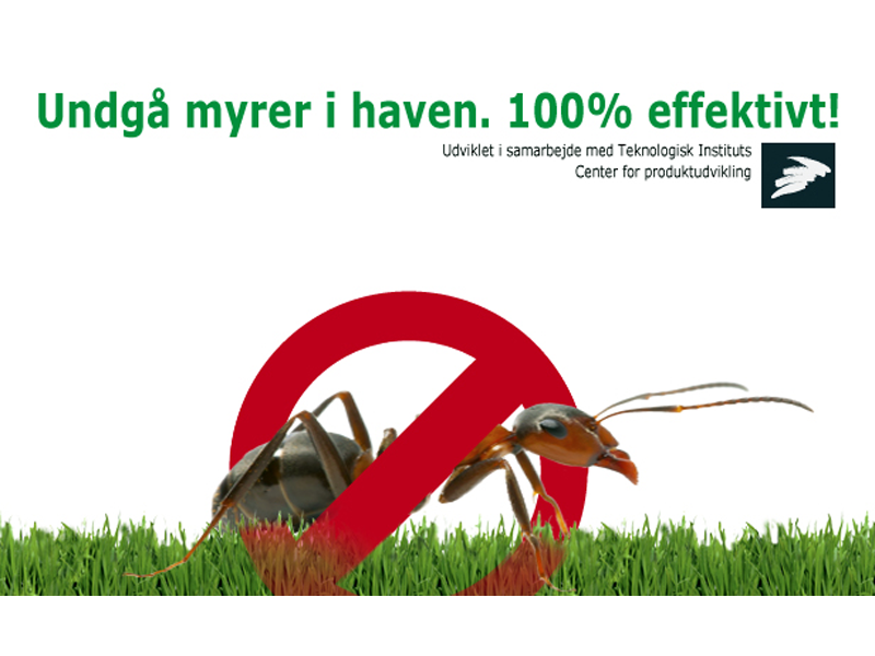 Myldrer det med myrer?  - Meget effektiv langtidsbekæmpelse3 