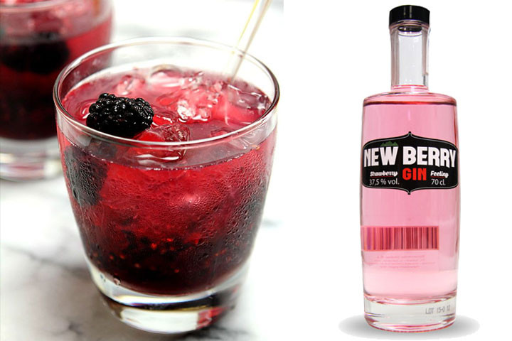 New Berry Gin, der giver din drink et frisk og forførende twist 1 