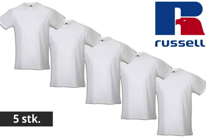 Herre t-shirts fra Russell - vælg mellem 5 eller 10 stk.5 