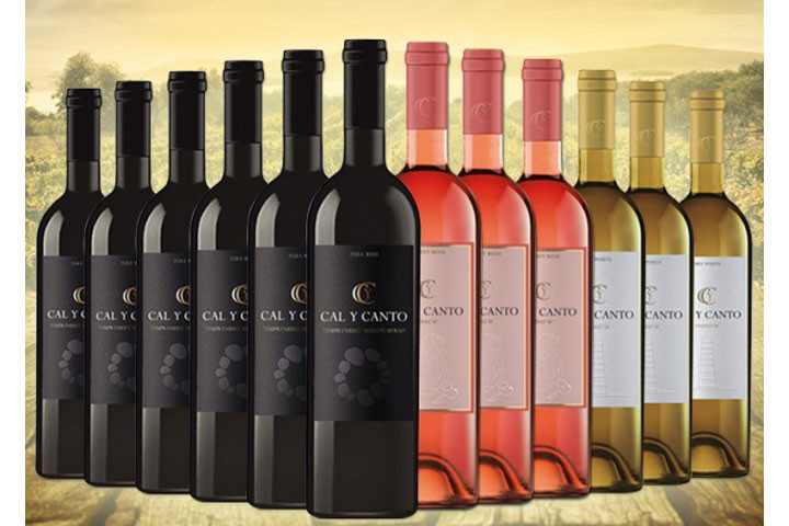 12 flasker prisvindende højkvalitets Cal y Canto vine1 