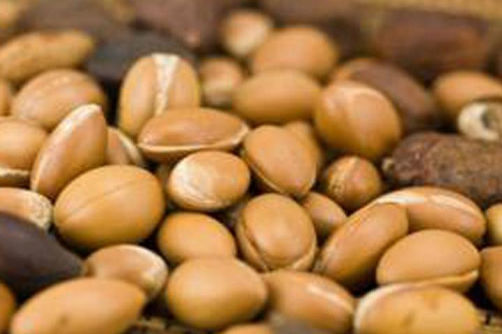 Luksusbehandling til dit hår med Økologisk Moroccan Argan Oil til lav pris4 