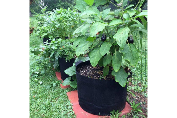 Grow Bag til planter, der giver dine planter de perfekte vilkår for vækst 4 