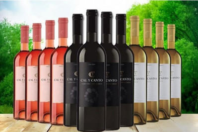 12 flasker Cal y Canto vine - 4 rødvin + 4 hvidvin + 4 rosévin